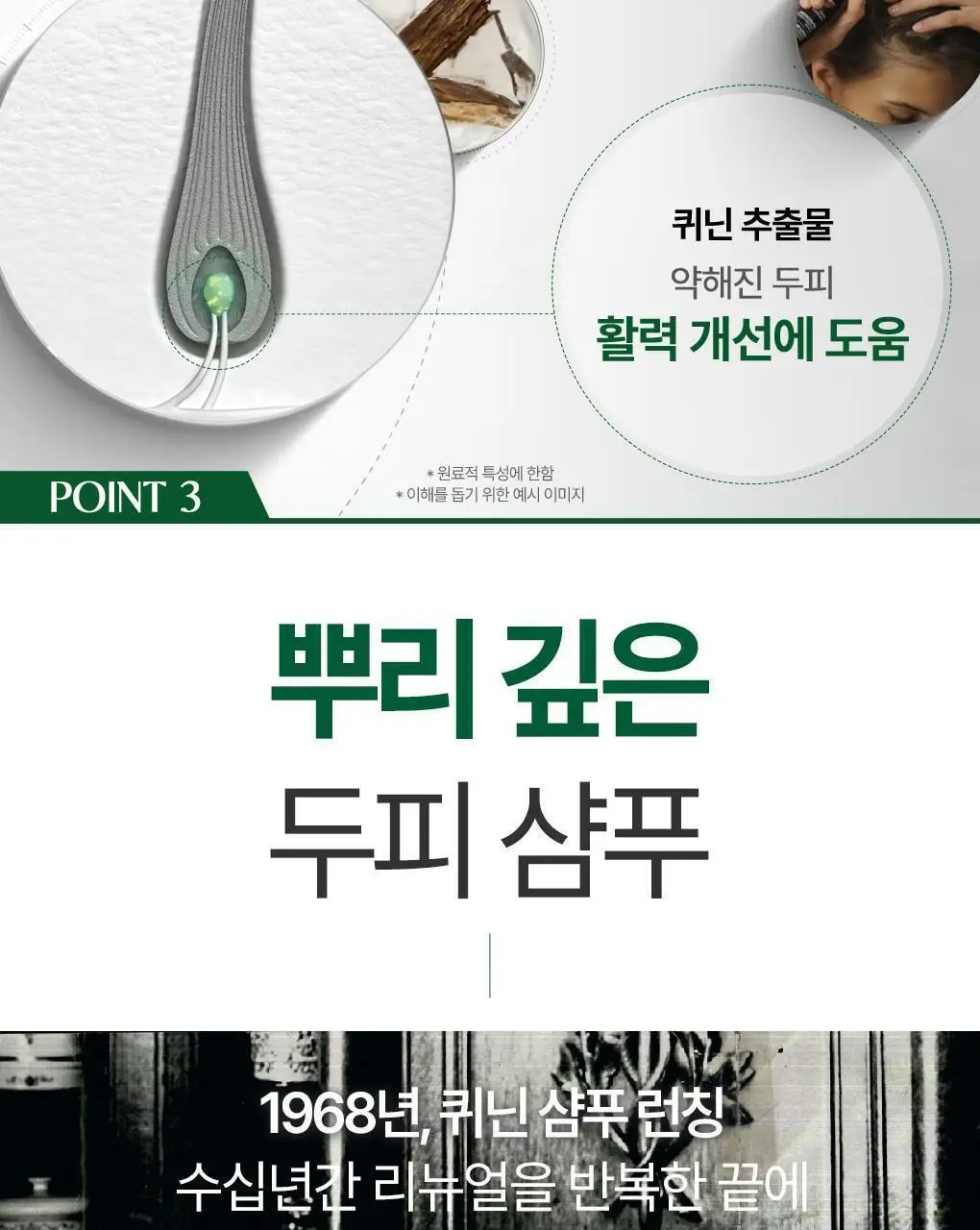 [두피활력 & 모발강화] 클로란 퀴닌 에델바이스 샴푸 더블 기획 (400ml 2입기획) 상세페이지 12